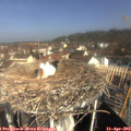 10_05-nest.jpg