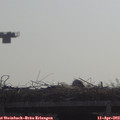 10_10-mast.jpg