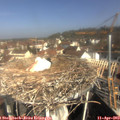 10_10-nest.jpg