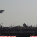 10_15-mast.jpg