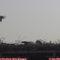 10_20-mast.jpg