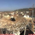 10_30-nest.jpg