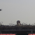 10_35-mast.jpg
