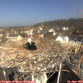 10_35-nest.jpg