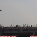 10_40-mast.jpg