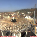 10_50-nest.jpg