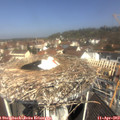 11_00-nest.jpg