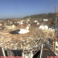 11_20-nest.jpg