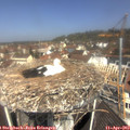 11_25-nest.jpg