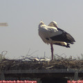 12_00-mast.jpg