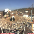 12_00-nest.jpg