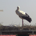 12_05-mast.jpg