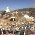 12_05-nest.jpg