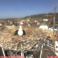 12_15-nest.jpg
