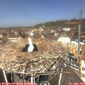 12_25-nest.jpg