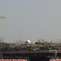 12_35-mast.jpg