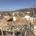 12_35-nest.jpg