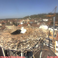 12_40-nest.jpg