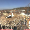 12_45-nest.jpg