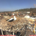 12_55-nest.jpg