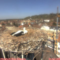 13_00-nest.jpg