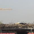 13_05-mast.jpg