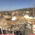 13_10-nest.jpg