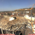 13_30-nest.jpg
