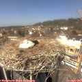 13_35-nest.jpg