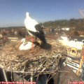 13_45-nest.jpg