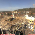 14_00-nest.jpg