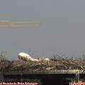 14_05-mast.jpg
