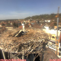 14_05-nest.jpg