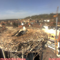14_10-nest.jpg