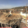14_15-nest.jpg