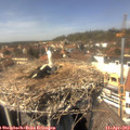 14_25-nest.jpg