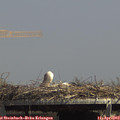 14_30-mast.jpg