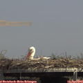 14_35-mast.jpg