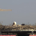 14_40-mast.jpg