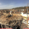 14_40-nest.jpg