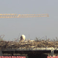 14_45-mast.jpg