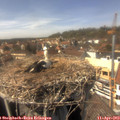 14_45-nest.jpg