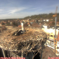 14_50-nest.jpg