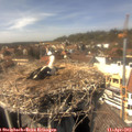 14_55-nest.jpg