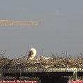 15_00-mast.jpg
