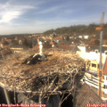 15_00-nest.jpg