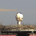 15_05-mast.jpg