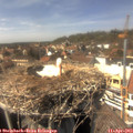 15_10-nest.jpg