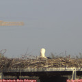 15_35-mast.jpg