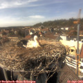 15_35-nest.jpg